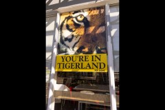 Richmond Hill Walk (Alan Scott ©)