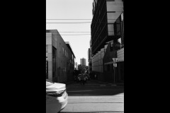 Richmond Hill Walk (Lilith Ball ©)