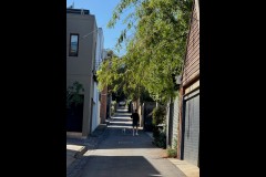 Richmond Hill Walk (Sue Rocco ©)