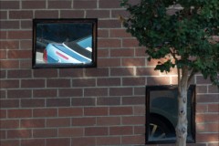 Richmond Hill Walk (Ian Spence ©)