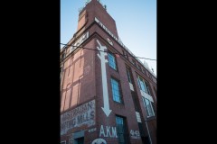 Richmond Hill Walk (David Dyett ©)