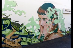 Richmond Hill Walk (Michael Brown ©)