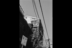 Richmond Hill Walk (Lilith Ball ©)