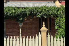 Richmond Hill Walk (Sue Rocco ©)