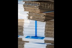 Richmond Hill Walk (Marg Huxtable ©)