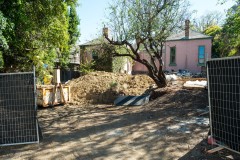 Richmond Hill Walk (David Dyett ©)