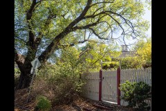 Richmond Hill Walk (Ken Gosbell ©)