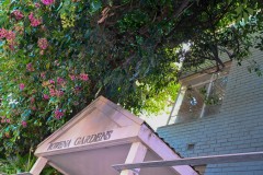 Richmond Hill Walk (Sony Varma ©)