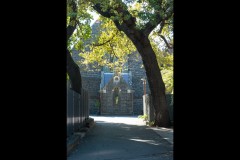 Richmond Hill Walk (David Dyett ©)