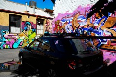 Richmond Hill Walk (Sony Varma ©)