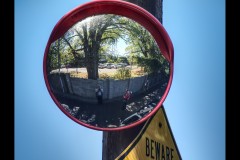 Richmond Hill Walk (Paul Palcsek ©)