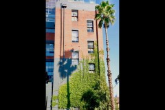 Richmond Hill Walk (Doni Baz ©)