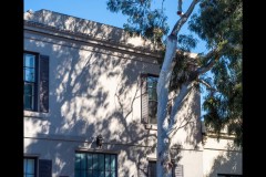 Richmond Hill Walk (Jim Weatherill ©)