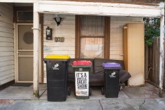 Richmond Hill Walk (David Dyett ©)