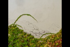 Richmond Hill Walk (Jim Weatherill ©)