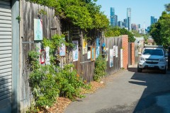 Richmond Hill Walk (David Dyett ©)
