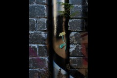 Richmond Hill Walk (David Marriott ©)