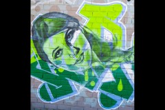 Richmond Hill Walk (Jim Weatherill ©)