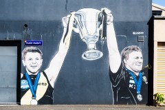 Richmond Hill Walk (Peter Stuchbery ©)