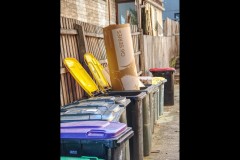 Richmond Hill Walk (Paul Palcsek ©)