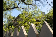 Richmond Hill Walk (Ken Gosbell ©)