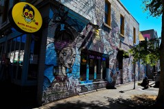 Richmond Hill Walk (Sony Varma ©)