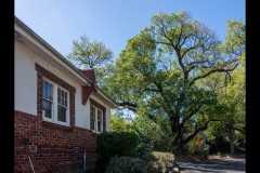 Richmond Hill Walk (Ian Spence ©)