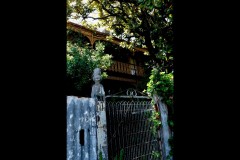 Richmond Hill Walk (Doni Baz ©)