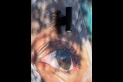 Richmond Hill Walk (Marg Huxtable ©)