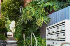 Richmond Hill Walk (Sony Varma ©)