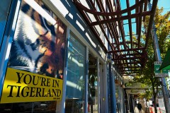 Richmond Hill Walk (Sony Varma ©)