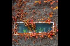 Richmond Streetscapes Outing (Ken Gosbell ©)