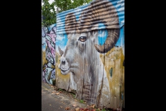 Richmond Streetscapes Outing (Marg Huxtable ©)