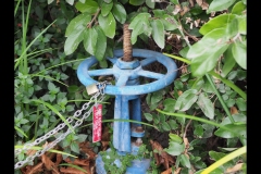 Richmond Streetscapes Outing (Paul Palcsek ©)