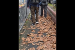 Richmond Streetscapes Outing (Bob Clothier ©)