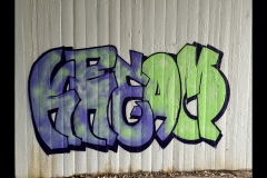 Richmond Streetscapes Outing (Simon Beaven ©)