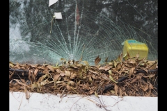 Richmond Streetscapes Outing (Paul Palcsek ©)