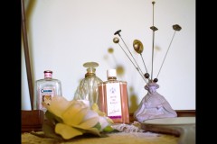 Rippon Lea Estate (Sara Wigney ©)