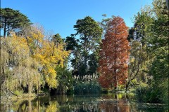 Rippon Lea Estate (Carolyn Brandt ©)