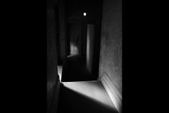 Rippon Lea Estate (Terry Noske ©)