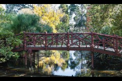 Rippon Lea Estate (Peter Stuchbery ©)