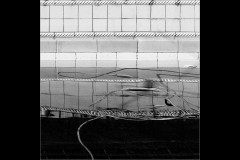 Rippon Lea Estate (Carolyn Brandt ©)