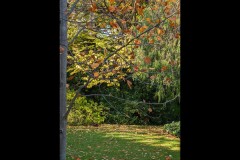 Rippon Lea Estate (Robert Fairweather ©)