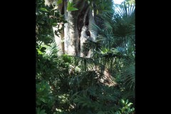 Rippon Lea Estate (Joe Hajdu ©)