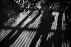 Rippon Lea Estate (Terry Noske ©)