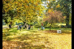 Rippon Lea Estate (Peter Stuchbery ©)