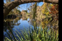 Rippon Lea Estate (Robert Fairweather ©)