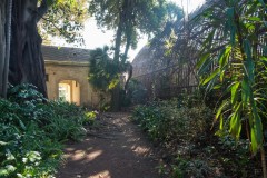 Rippon Lea Estate (David Dyett ©)