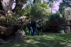 Rippon Lea Estate (Sara Wigney ©)