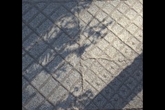 Rippon Lea Estate (Sara Wigney ©)